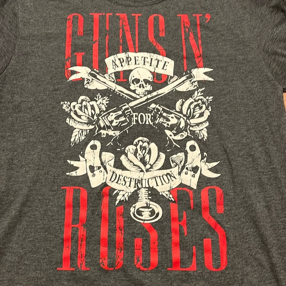 Guns N’ Roses appetite for destruction